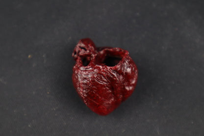 Dry Preserved Raccoon Heart