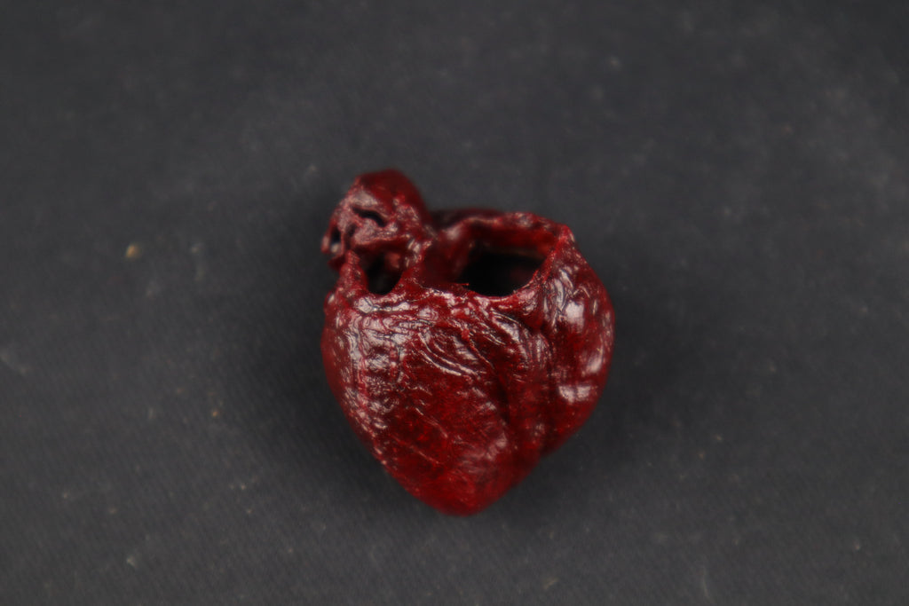 Dry Preserved Raccoon Heart