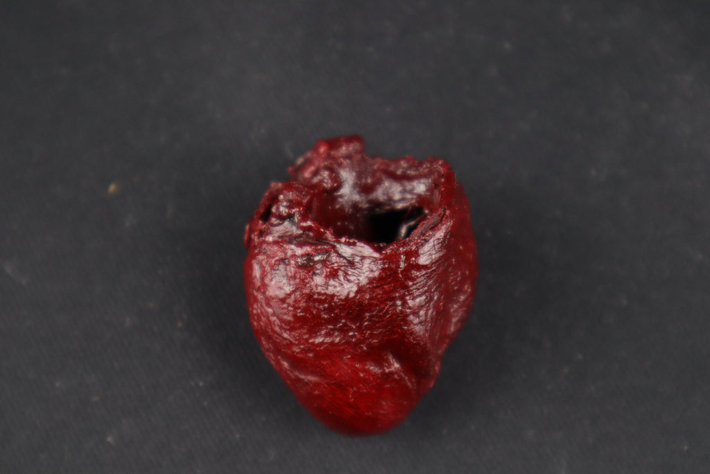 Dry Preserved Raccoon Heart