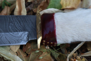 Damascus Gray Wolf Paw Knife with Celtic Wolf Sheath