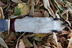 Damascus Gray Wolf Paw Knife with Celtic Wolf Sheath