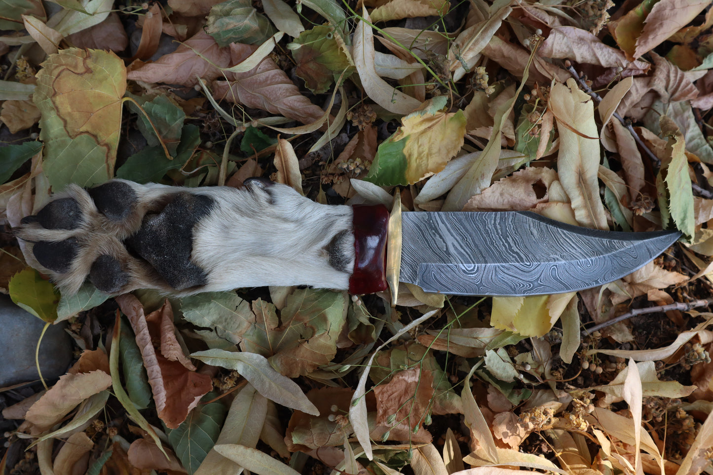 Damascus Gray Wolf Paw Knife with Celtic Wolf Sheath