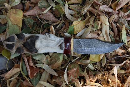Damascus Gray Wolf Paw Knife with Celtic Wolf Sheath