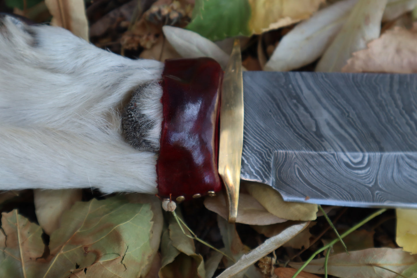Damascus Gray Wolf Paw Knife with Celtic Wolf Sheath