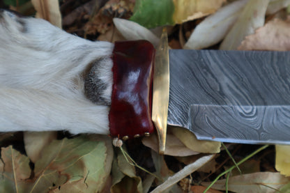 Damascus Gray Wolf Paw Knife with Celtic Wolf Sheath