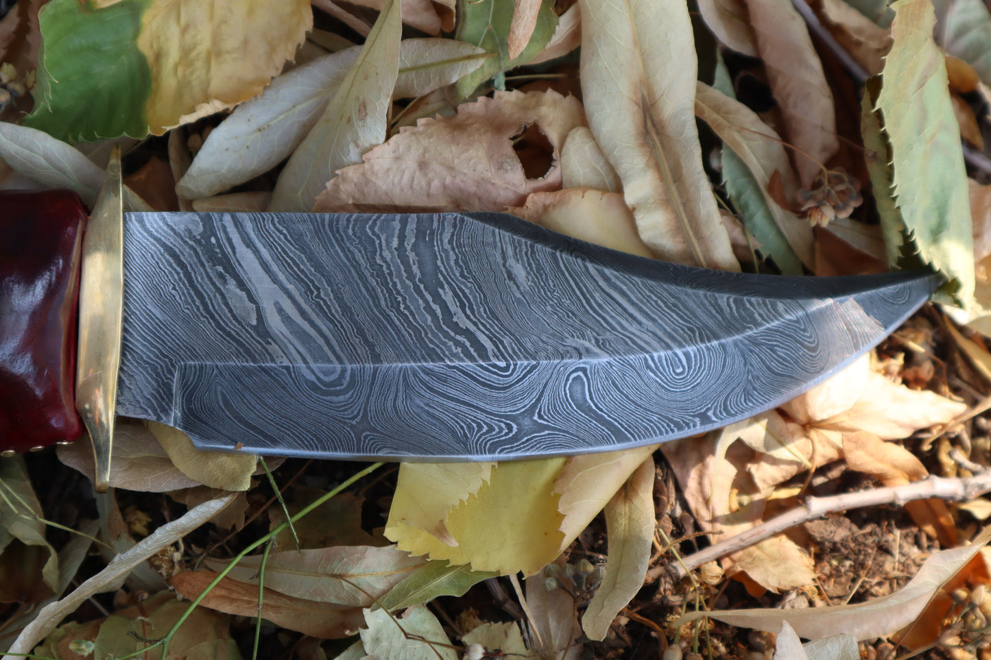 Damascus Gray Wolf Paw Knife with Celtic Wolf Sheath