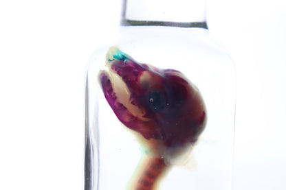 Diaphonized Baby Red Fox