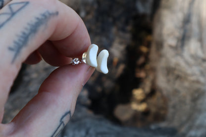 Gray Wolf Bone Stud Earrings