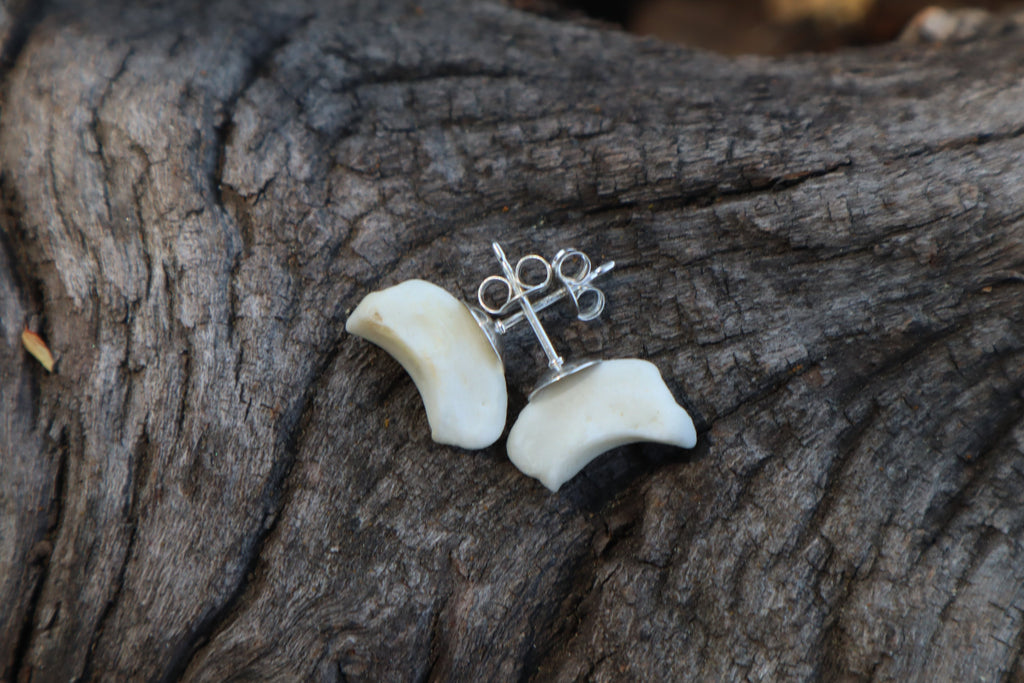 Gray Wolf Bone Stud Earrings