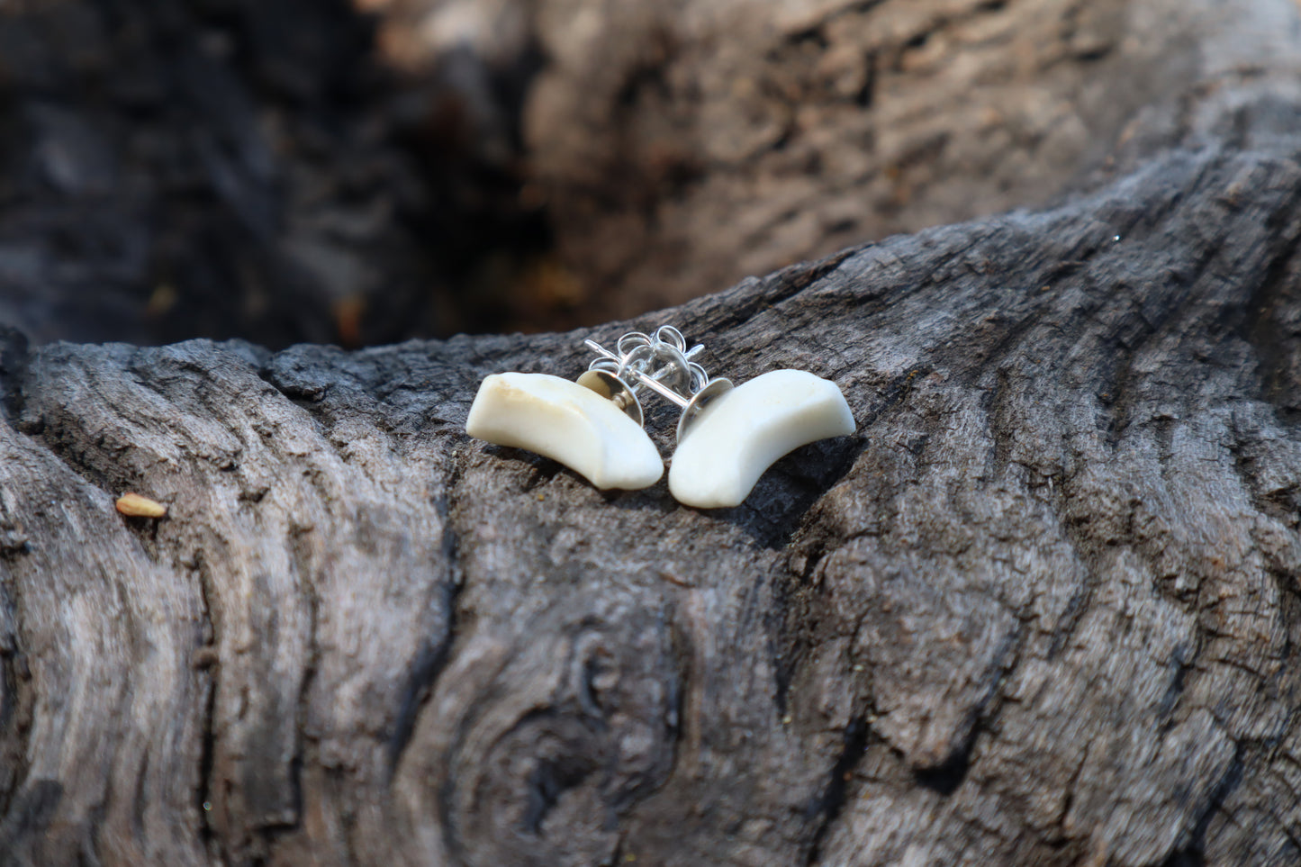 Gray Wolf Bone Stud Earrings