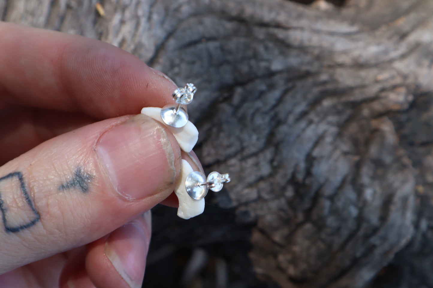 Gray Wolf Bone Stud Earrings