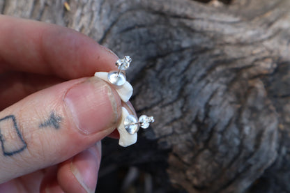 Gray Wolf Bone Stud Earrings