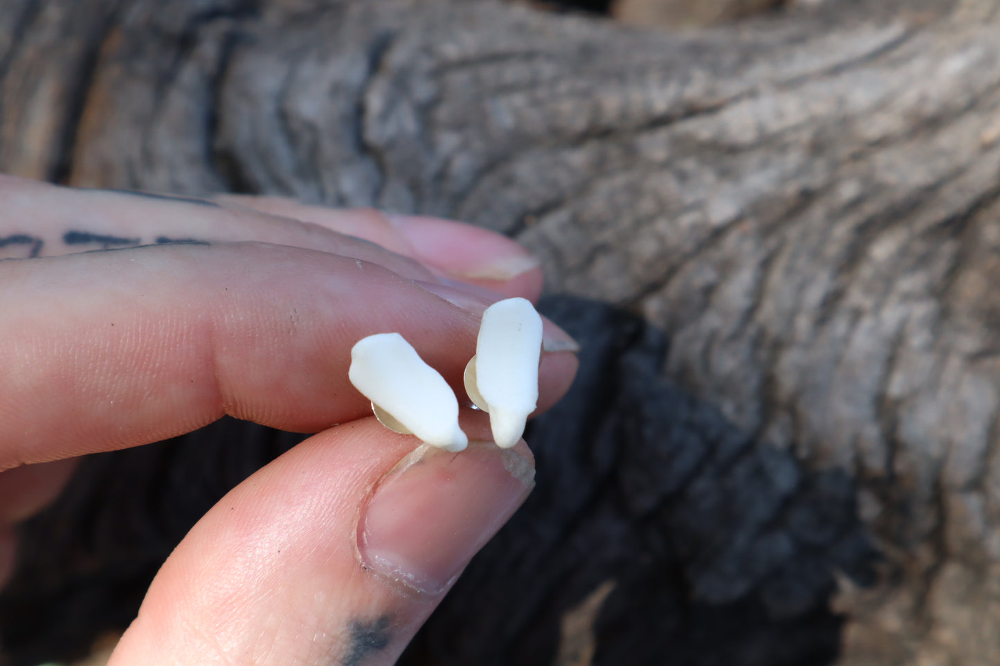 Gray Wolf Bone Stud Earrings