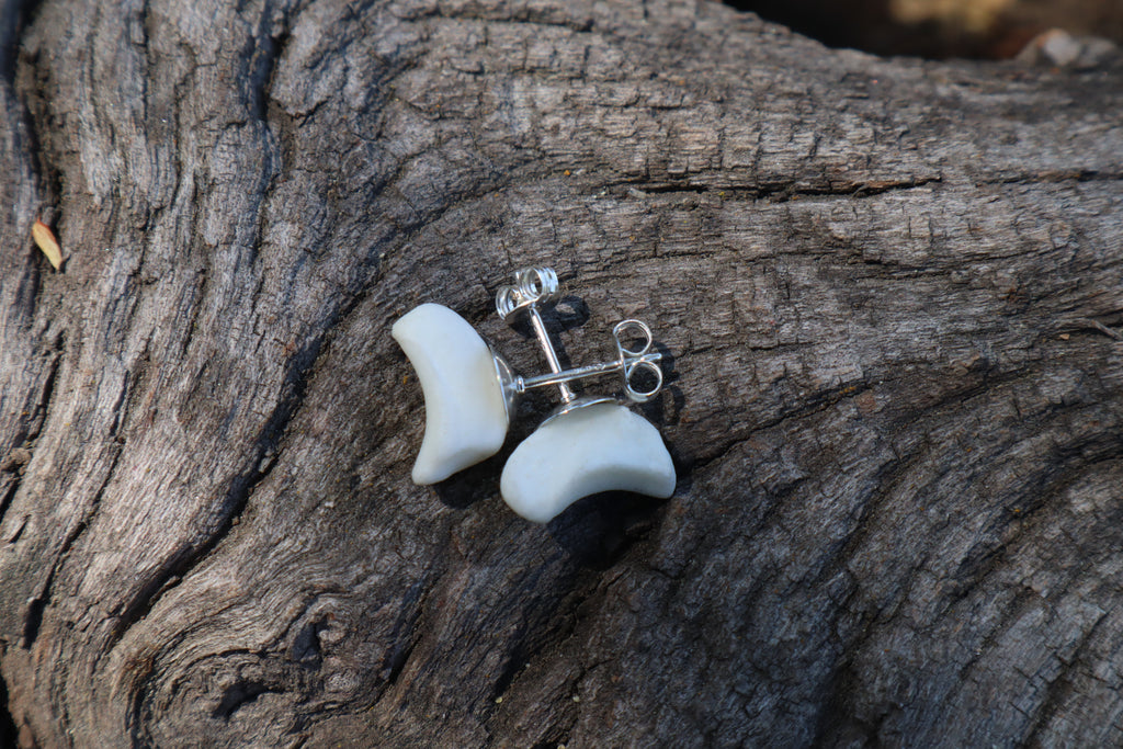 Gray Wolf Bone Stud Earrings