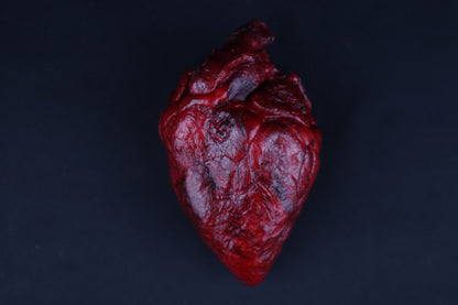Dry Preserved Whitetail Deer Heart - Painted