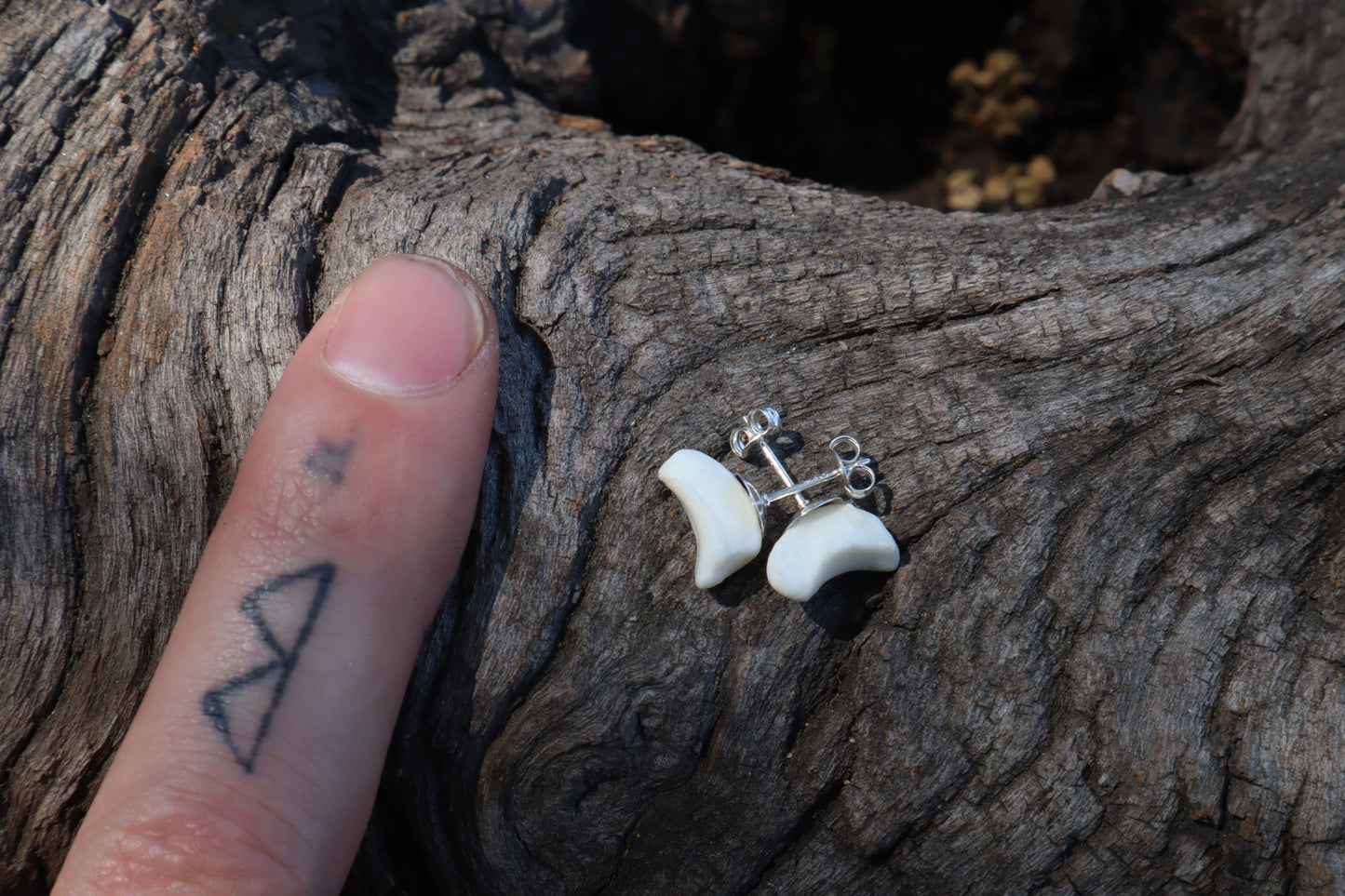 Gray Wolf Bone Stud Earrings