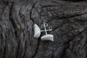Gray Wolf Bone Stud Earrings