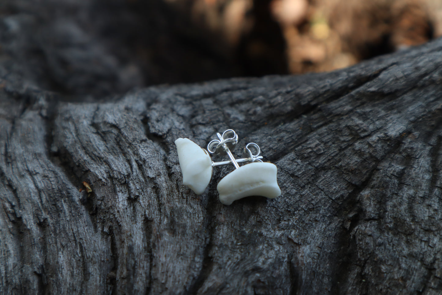 Gray Wolf Bone Stud Earrings
