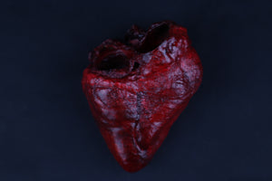 Dry Preserved Whitetail Deer Heart - Painted
