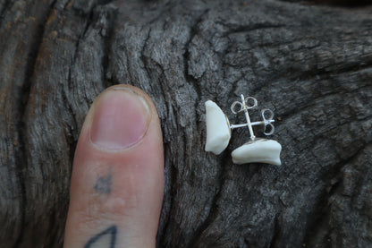 Gray Wolf Bone Stud Earrings