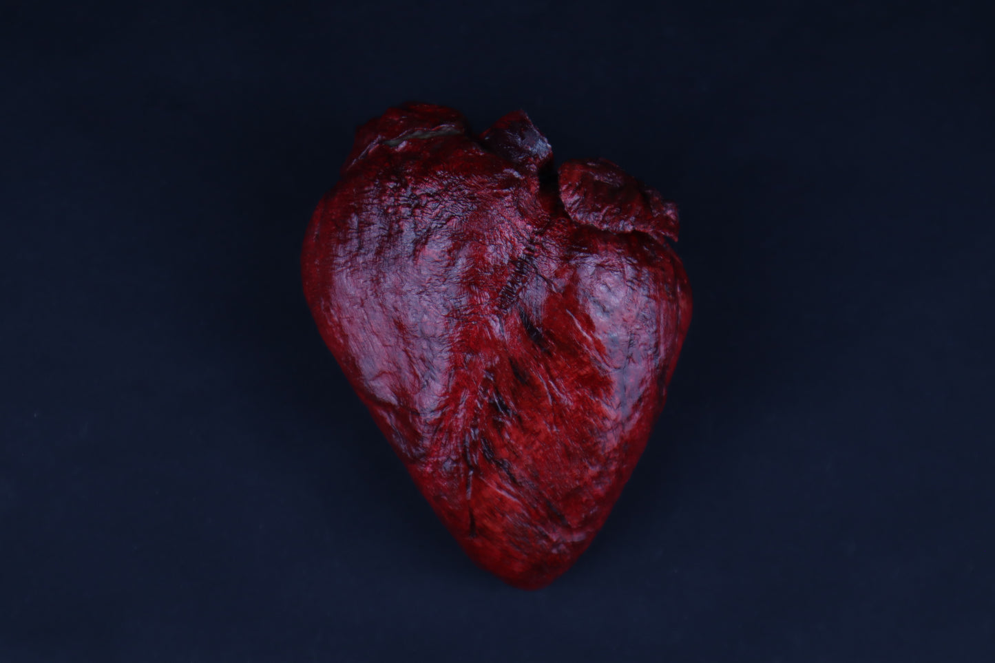 Dry Preserved Whitetail Deer Heart - Painted