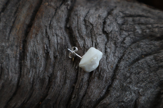 Gray Wolf Bone Stud Earring