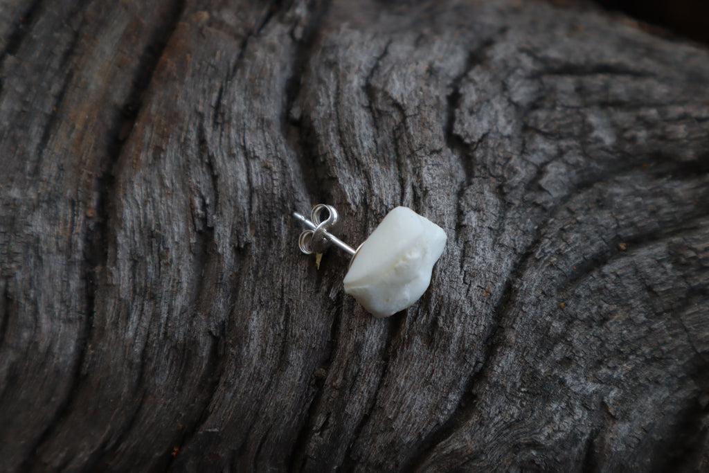 Gray Wolf Bone Stud Earring