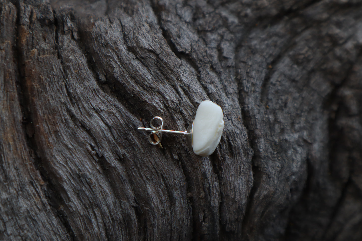 Gray Wolf Bone Stud Earring