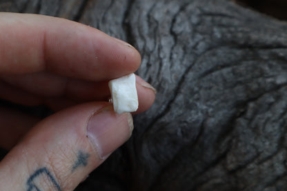 Gray Wolf Bone Stud Earring