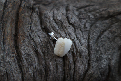 Gray Wolf Bone Stud Earring