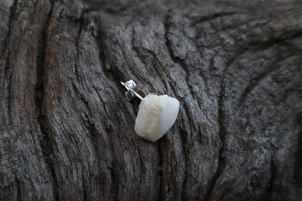 Gray Wolf Bone Stud Earring
