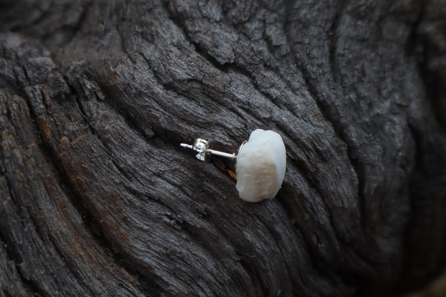 Gray Wolf Bone Stud Earring