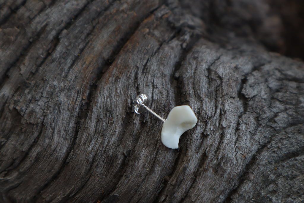 Gray Wolf Bone Stud Earring