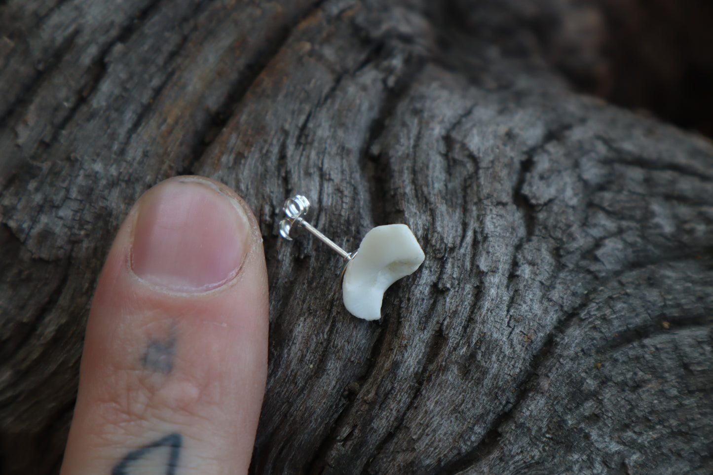 Gray Wolf Bone Stud Earring