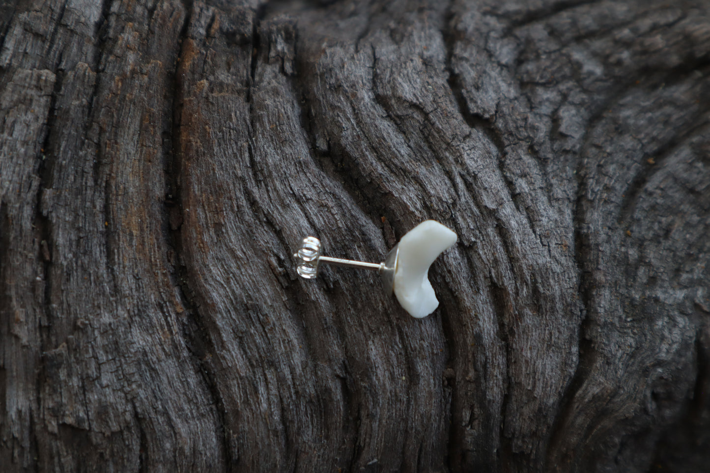 Gray Wolf Bone Stud Earring