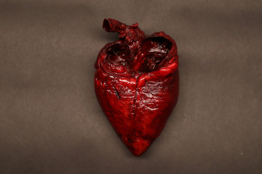 Dry Preserved Whitetail Deer Heart - Painted