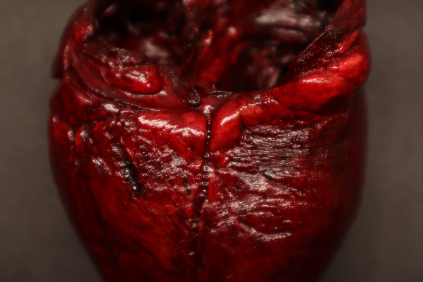 Dry Preserved Whitetail Deer Heart - Painted