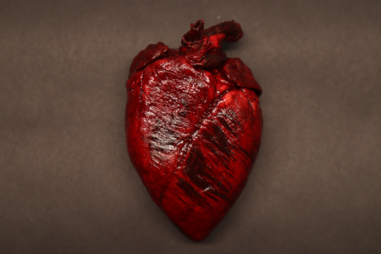 Dry Preserved Whitetail Deer Heart - Painted