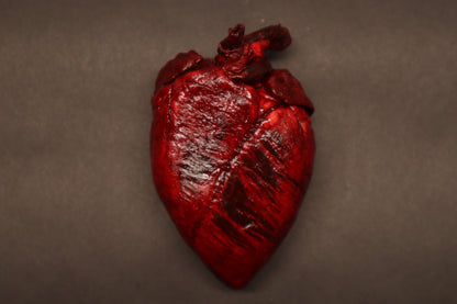 Dry Preserved Whitetail Deer Heart - Painted