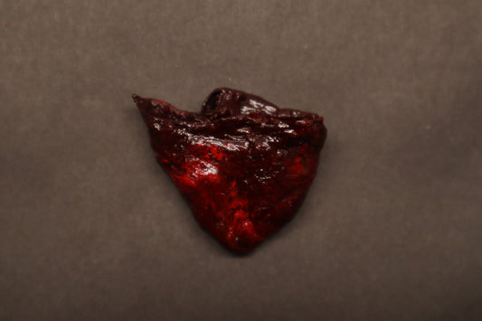 Dry Preserved Baby Goat Heart