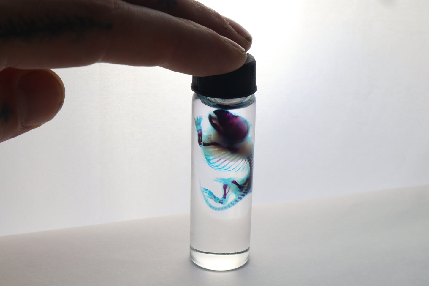 Diaphonized Baby Mouse
