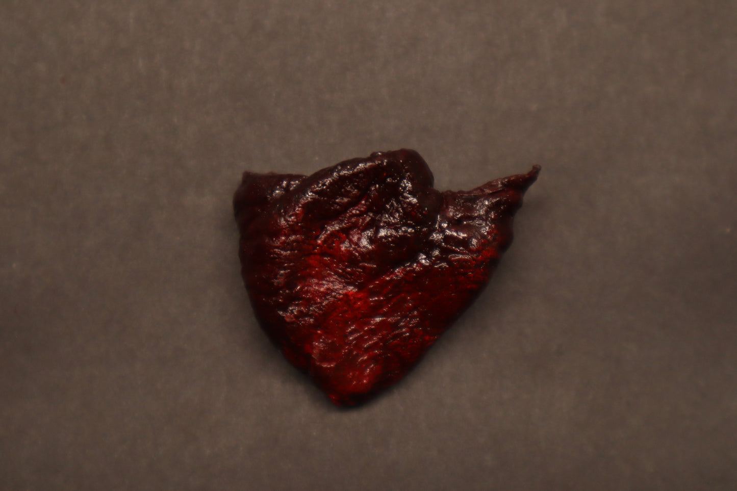Dry Preserved Baby Goat Heart