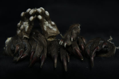Mink Paws