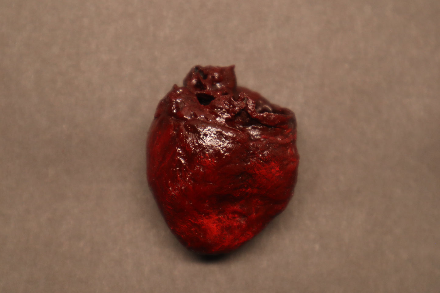 Dry Preserved Raccoon Heart