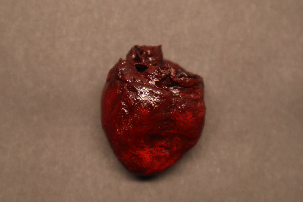 Dry Preserved Raccoon Heart