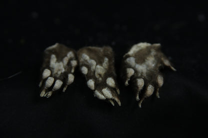 Mink Paws
