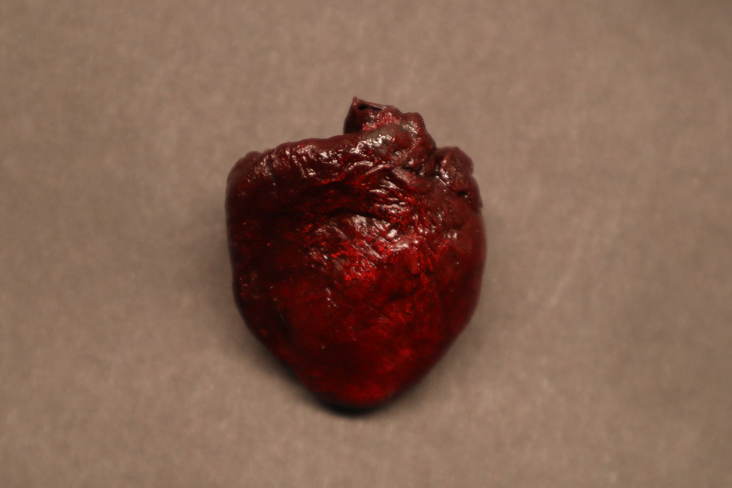 Dry Preserved Raccoon Heart