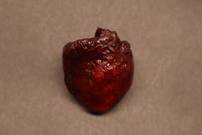 Dry Preserved Raccoon Heart