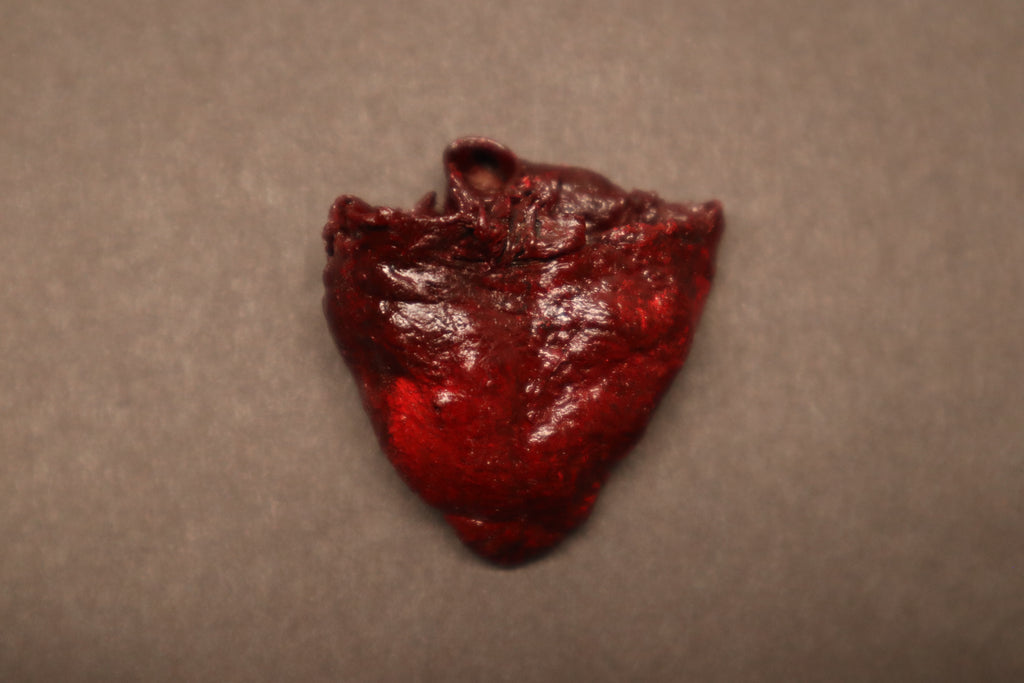 Dry Preserved Baby Goat Heart