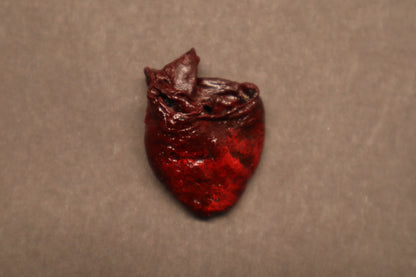 Dry Preserved Raccoon Heart